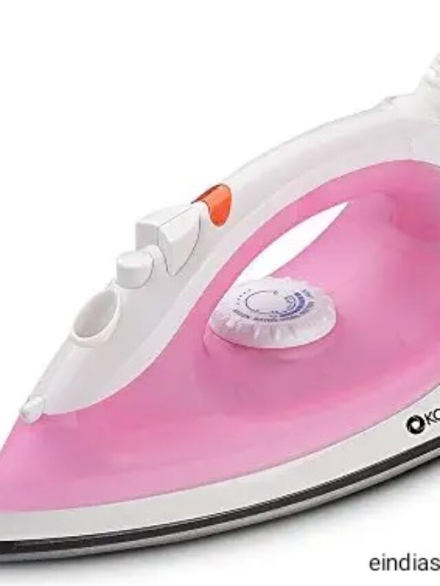 Best Steam Irons Review 2022