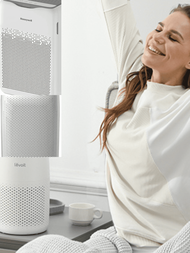 8 सबसे अच्छे एयर प्यूरीफायर