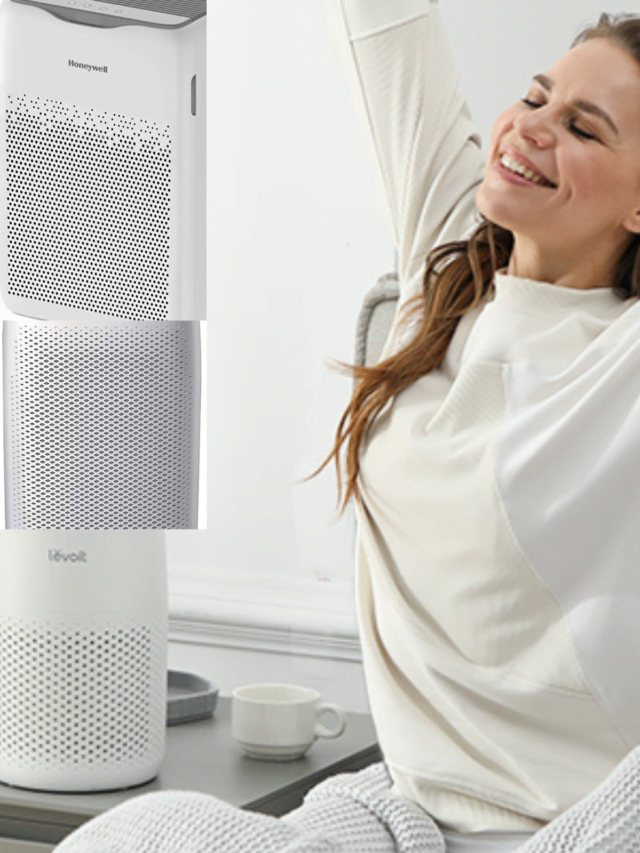 Best Air Purifier for Home