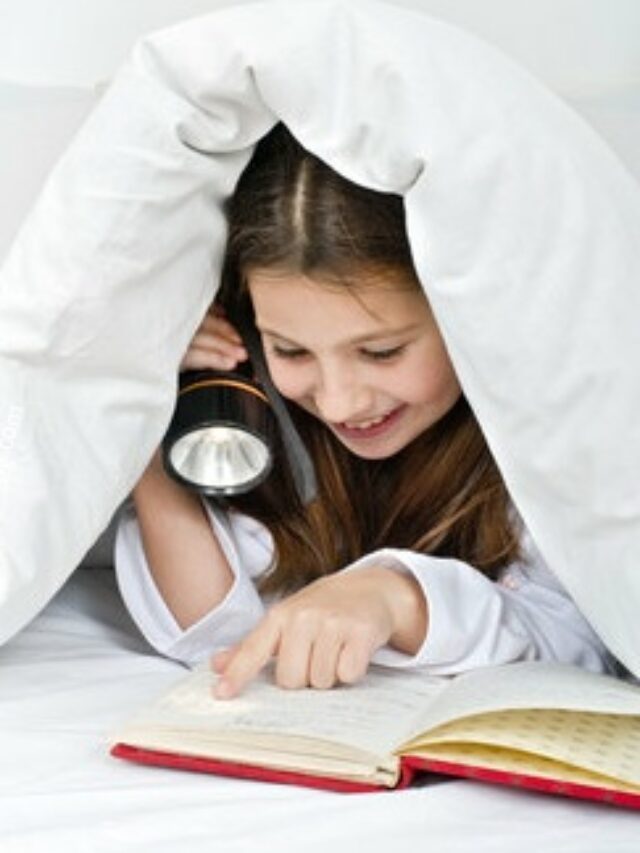 Advantages of Torch Light