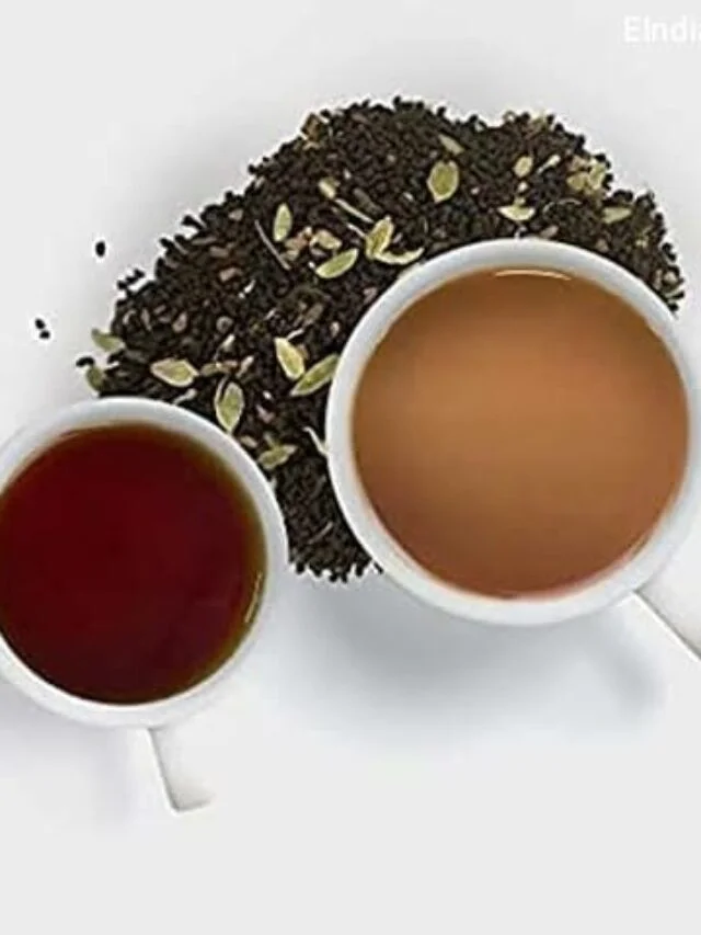 Top Chai Patti Brands