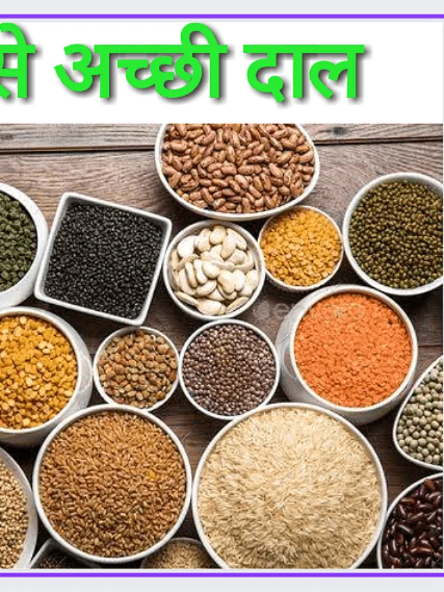 Best Dal for Protein