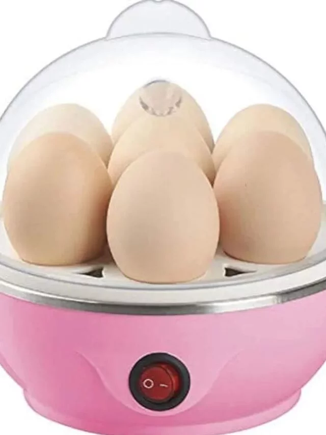 Best Electric Egg Boiler Reviews